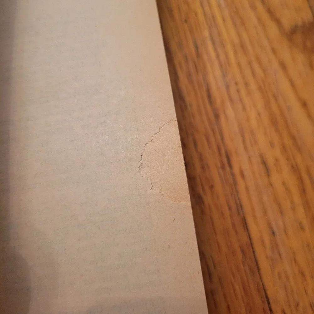All New Fannie Farmer Boston Cooking School Cookbook V1964 Recipes‎ Homestead